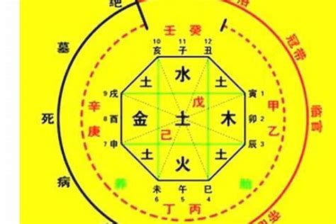 喜用神怎麼看|八字喜用神是什么 八字喜用神如何确定